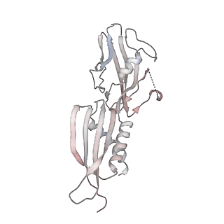 13706_7py0_B_v1-1
CryoEM structure of E.coli RNA polymerase elongation complex bound to NusG (NusG-EC in more-swiveled conformation)