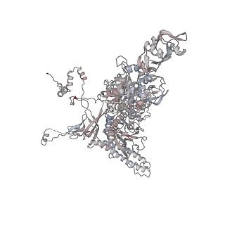 13706_7py0_C_v1-1
CryoEM structure of E.coli RNA polymerase elongation complex bound to NusG (NusG-EC in more-swiveled conformation)