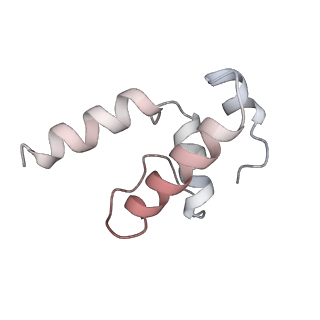 13706_7py0_E_v1-1
CryoEM structure of E.coli RNA polymerase elongation complex bound to NusG (NusG-EC in more-swiveled conformation)