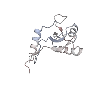 13706_7py0_G_v1-1
CryoEM structure of E.coli RNA polymerase elongation complex bound to NusG (NusG-EC in more-swiveled conformation)
