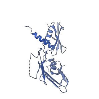 13707_7py1_A_v1-1
CryoEM structure of E.coli RNA polymerase elongation complex bound to NusG (the consensus NusG-EC)