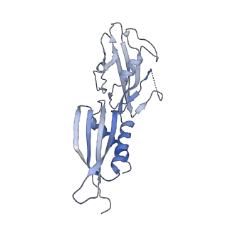 13707_7py1_B_v1-1
CryoEM structure of E.coli RNA polymerase elongation complex bound to NusG (the consensus NusG-EC)