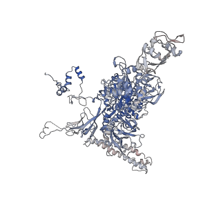 13707_7py1_C_v1-1
CryoEM structure of E.coli RNA polymerase elongation complex bound to NusG (the consensus NusG-EC)