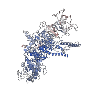 13707_7py1_D_v1-1
CryoEM structure of E.coli RNA polymerase elongation complex bound to NusG (the consensus NusG-EC)
