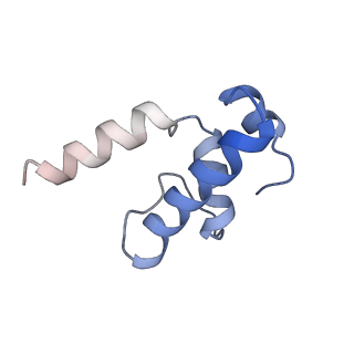 13707_7py1_E_v1-1
CryoEM structure of E.coli RNA polymerase elongation complex bound to NusG (the consensus NusG-EC)