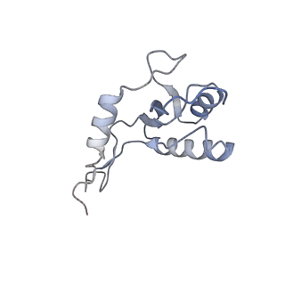 13707_7py1_G_v1-1
CryoEM structure of E.coli RNA polymerase elongation complex bound to NusG (the consensus NusG-EC)