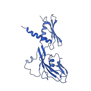 13709_7py3_A_v1-1
CryoEM structure of E.coli RNA polymerase elongation complex bound to NusA (the consensus NusA-EC)