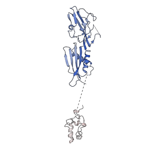 13709_7py3_B_v1-1
CryoEM structure of E.coli RNA polymerase elongation complex bound to NusA (the consensus NusA-EC)