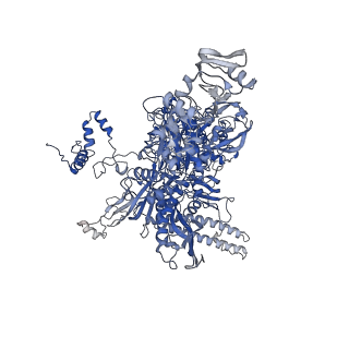 13709_7py3_C_v1-1
CryoEM structure of E.coli RNA polymerase elongation complex bound to NusA (the consensus NusA-EC)