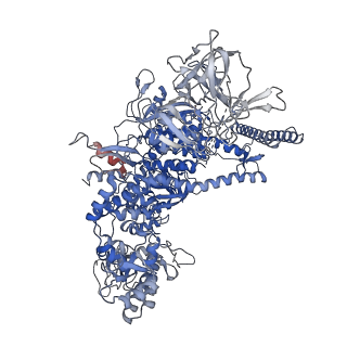 13709_7py3_D_v1-1
CryoEM structure of E.coli RNA polymerase elongation complex bound to NusA (the consensus NusA-EC)