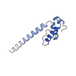 13709_7py3_E_v1-1
CryoEM structure of E.coli RNA polymerase elongation complex bound to NusA (the consensus NusA-EC)