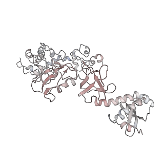 13709_7py3_F_v1-1
CryoEM structure of E.coli RNA polymerase elongation complex bound to NusA (the consensus NusA-EC)