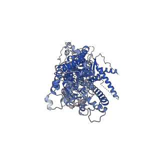 13711_7py4_A_v1-0
Cryo-EM structure of ATP8B1-CDC50A in E2P autoinhibited state