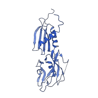 13713_7py5_B_v1-1
CryoEM structure of E.coli RNA polymerase elongation complex bound to NusA and NusG (the consensus NusA-NusG-EC)