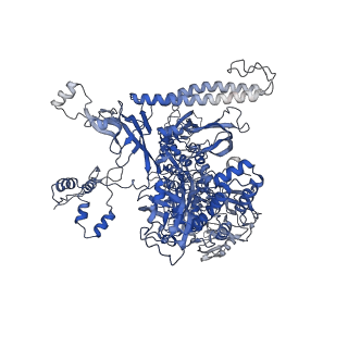 13713_7py5_C_v1-1
CryoEM structure of E.coli RNA polymerase elongation complex bound to NusA and NusG (the consensus NusA-NusG-EC)