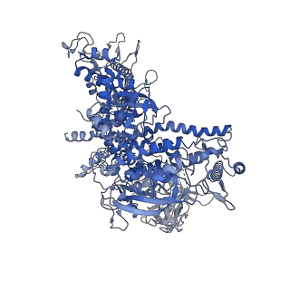13713_7py5_D_v1-1
CryoEM structure of E.coli RNA polymerase elongation complex bound to NusA and NusG (the consensus NusA-NusG-EC)