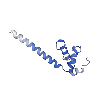 13713_7py5_E_v1-1
CryoEM structure of E.coli RNA polymerase elongation complex bound to NusA and NusG (the consensus NusA-NusG-EC)