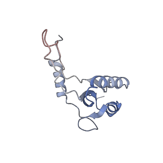 13713_7py5_G_v1-1
CryoEM structure of E.coli RNA polymerase elongation complex bound to NusA and NusG (the consensus NusA-NusG-EC)