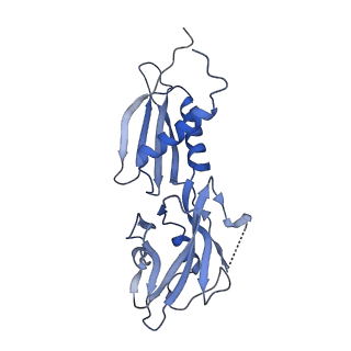 13714_7py6_B_v1-1
CryoEM structure of E.coli RNA polymerase elongation complex bound to NusA and NusG (NusA and NusG elongation complex in less-swiveled conformation)