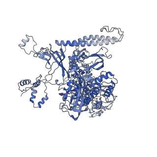 13714_7py6_C_v1-1
CryoEM structure of E.coli RNA polymerase elongation complex bound to NusA and NusG (NusA and NusG elongation complex in less-swiveled conformation)