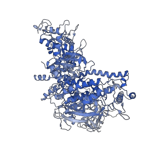 13714_7py6_D_v1-1
CryoEM structure of E.coli RNA polymerase elongation complex bound to NusA and NusG (NusA and NusG elongation complex in less-swiveled conformation)