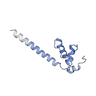 13714_7py6_E_v1-1
CryoEM structure of E.coli RNA polymerase elongation complex bound to NusA and NusG (NusA and NusG elongation complex in less-swiveled conformation)