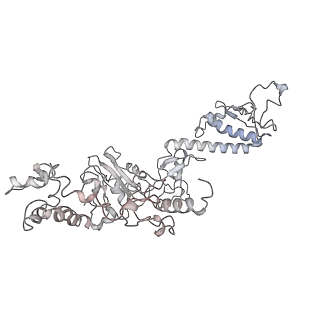 13714_7py6_F_v1-1
CryoEM structure of E.coli RNA polymerase elongation complex bound to NusA and NusG (NusA and NusG elongation complex in less-swiveled conformation)