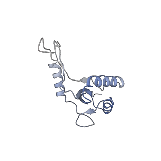 13714_7py6_G_v1-1
CryoEM structure of E.coli RNA polymerase elongation complex bound to NusA and NusG (NusA and NusG elongation complex in less-swiveled conformation)