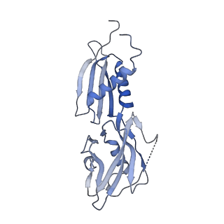 13715_7py7_B_v1-1
CryoEM structure of E.coli RNA polymerase elongation complex bound to NusA and NusG (NusA and NusG elongation complex in more-swiveled conformation)