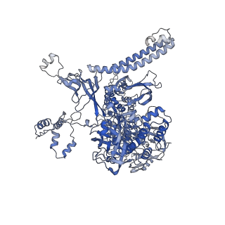 13715_7py7_C_v1-1
CryoEM structure of E.coli RNA polymerase elongation complex bound to NusA and NusG (NusA and NusG elongation complex in more-swiveled conformation)
