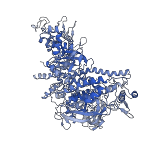 13715_7py7_D_v1-1
CryoEM structure of E.coli RNA polymerase elongation complex bound to NusA and NusG (NusA and NusG elongation complex in more-swiveled conformation)