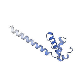 13715_7py7_E_v1-1
CryoEM structure of E.coli RNA polymerase elongation complex bound to NusA and NusG (NusA and NusG elongation complex in more-swiveled conformation)