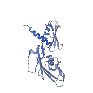 13716_7py8_A_v1-1
CryoEM structure of E.coli RNA polymerase elongation complex bound to NusG (NusG-EC in less-swiveled conformation)