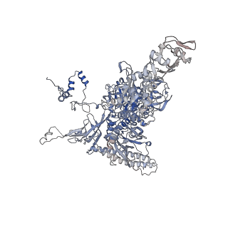 13716_7py8_C_v1-1
CryoEM structure of E.coli RNA polymerase elongation complex bound to NusG (NusG-EC in less-swiveled conformation)
