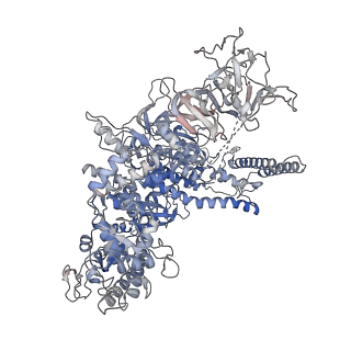 13716_7py8_D_v1-1
CryoEM structure of E.coli RNA polymerase elongation complex bound to NusG (NusG-EC in less-swiveled conformation)