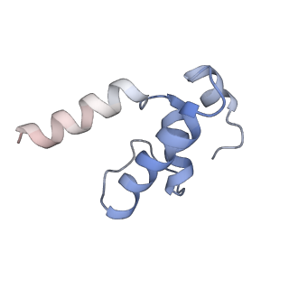 13716_7py8_E_v1-1
CryoEM structure of E.coli RNA polymerase elongation complex bound to NusG (NusG-EC in less-swiveled conformation)