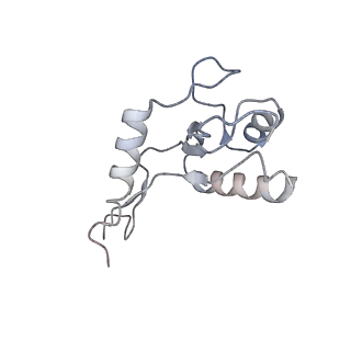 13716_7py8_G_v1-1
CryoEM structure of E.coli RNA polymerase elongation complex bound to NusG (NusG-EC in less-swiveled conformation)