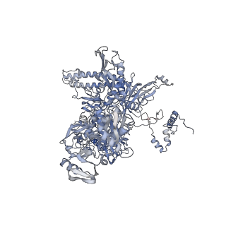 13717_7pyj_C_v1-1
CryoEM structure of E.coli RNA polymerase elongation complex bound to NusA (NusA elongation complex in less-swiveled conformation)