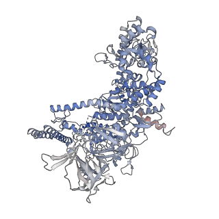 13717_7pyj_D_v1-1
CryoEM structure of E.coli RNA polymerase elongation complex bound to NusA (NusA elongation complex in less-swiveled conformation)