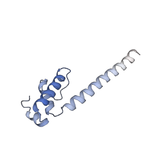 13717_7pyj_E_v1-1
CryoEM structure of E.coli RNA polymerase elongation complex bound to NusA (NusA elongation complex in less-swiveled conformation)