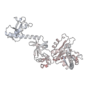 13717_7pyj_F_v1-1
CryoEM structure of E.coli RNA polymerase elongation complex bound to NusA (NusA elongation complex in less-swiveled conformation)