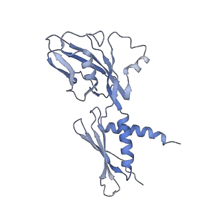 13718_7pyk_A_v1-1
CryoEM structure of E.coli RNA polymerase elongation complex bound to NusA (NusA elongation complex in more-swiveled conformation)