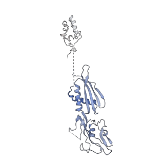 13718_7pyk_B_v1-1
CryoEM structure of E.coli RNA polymerase elongation complex bound to NusA (NusA elongation complex in more-swiveled conformation)