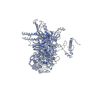 13718_7pyk_C_v1-1
CryoEM structure of E.coli RNA polymerase elongation complex bound to NusA (NusA elongation complex in more-swiveled conformation)