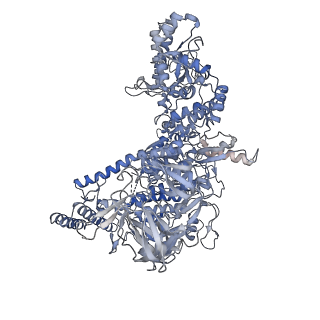 13718_7pyk_D_v1-1
CryoEM structure of E.coli RNA polymerase elongation complex bound to NusA (NusA elongation complex in more-swiveled conformation)