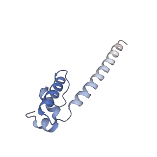 13718_7pyk_E_v1-1
CryoEM structure of E.coli RNA polymerase elongation complex bound to NusA (NusA elongation complex in more-swiveled conformation)