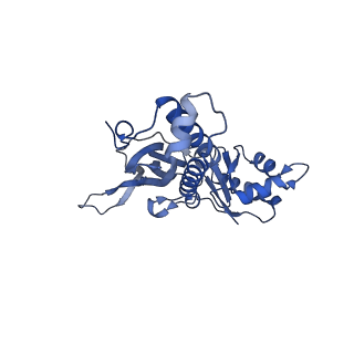 18031_8pys_0_v1-0
Cryo-EM structure of the DyP peroxidase-loaded encapsulin nanocompartment from Mycobacterium tuberculosis with icosahedral symmetry imposed.