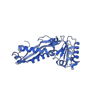 18031_8pys_1_v1-0
Cryo-EM structure of the DyP peroxidase-loaded encapsulin nanocompartment from Mycobacterium tuberculosis with icosahedral symmetry imposed.