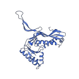18031_8pys_2_v1-0
Cryo-EM structure of the DyP peroxidase-loaded encapsulin nanocompartment from Mycobacterium tuberculosis with icosahedral symmetry imposed.