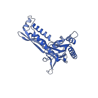 18031_8pys_5_v1-0
Cryo-EM structure of the DyP peroxidase-loaded encapsulin nanocompartment from Mycobacterium tuberculosis with icosahedral symmetry imposed.